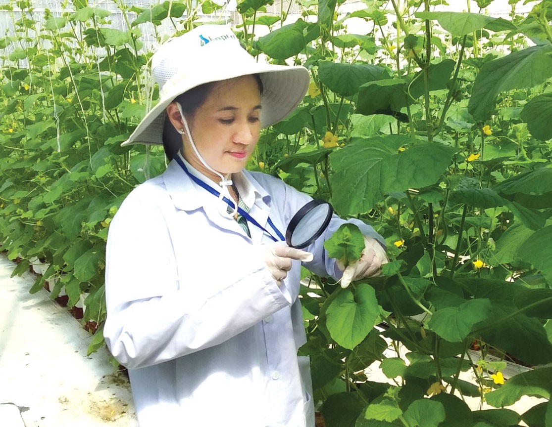 Kiểm tra sâu bệnh
